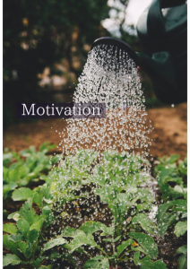 Motivation (2)